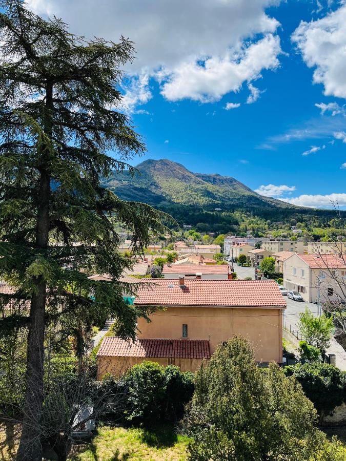 Les Glycines, Charmant Studio Au Calme Dans Batisse De Maitre Proche Du Centre Ville Parking Gratuit Динь-ле-Бен Экстерьер фото