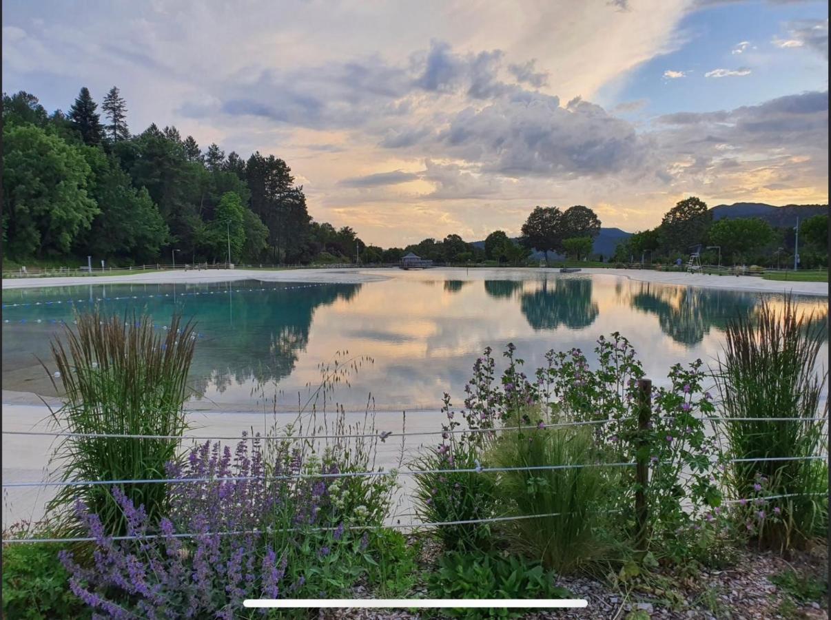 Les Glycines, Charmant Studio Au Calme Dans Batisse De Maitre Proche Du Centre Ville Parking Gratuit Динь-ле-Бен Экстерьер фото
